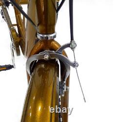 24 Adult Tricycle 3-Wheels Bike 6-Speed Trike Rickshaw Tricycle Shopping Basket