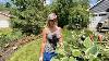 A Regular Day In The Garden Cleaning Weeding Trimming Dividing