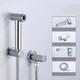Chrome Bathroom Wall Mounted Brass Handheld Toilet Bidet Sprayer Hose Holder Set