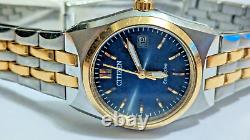 Citizen Eco-Drive Ladies Blue Dial Two Tone Stainless Steel Watch EW2294-53L