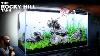 The Rocky Hill Tank Iwagumi W Vietnamese Minnows Planted Tank Aquascape Tutorial