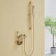 Wall Mounted Handheld Shower Head With Shower Slide Bar And Toilet Bidet Sprayer