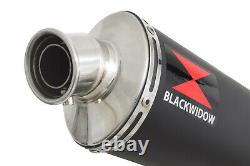 Kawasaki Gtr1400 2007-2021 Oval Black Silencer D'échappement En Acier Inoxydable Bn40v